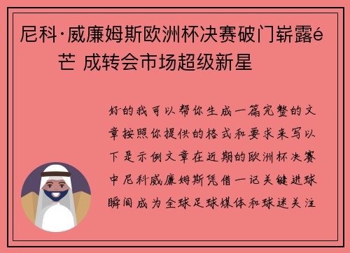 尼科·威廉姆斯欧洲杯决赛破门崭露锋芒 成转会市场超级新星
